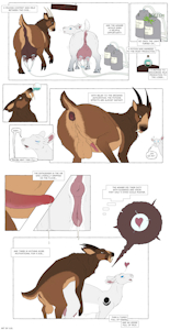 Milking Contest Color
