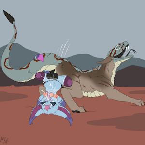 *W*_Coyote's toy