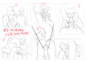 BJ &milking ych selection