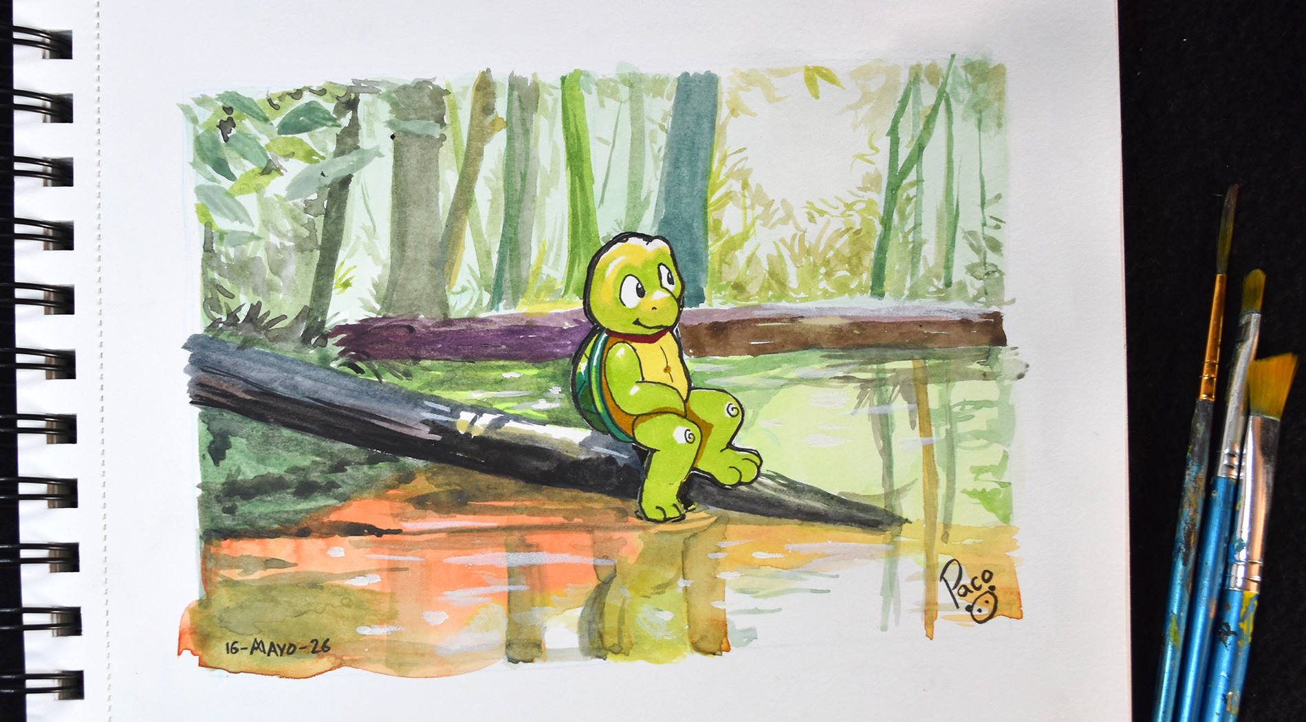 6019935_pandapaco_22turtle_eternalforest_photo.jpg