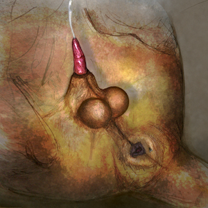 6020212_darkmare_lionpenis4.png