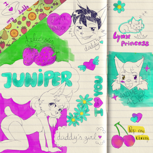jun gift
