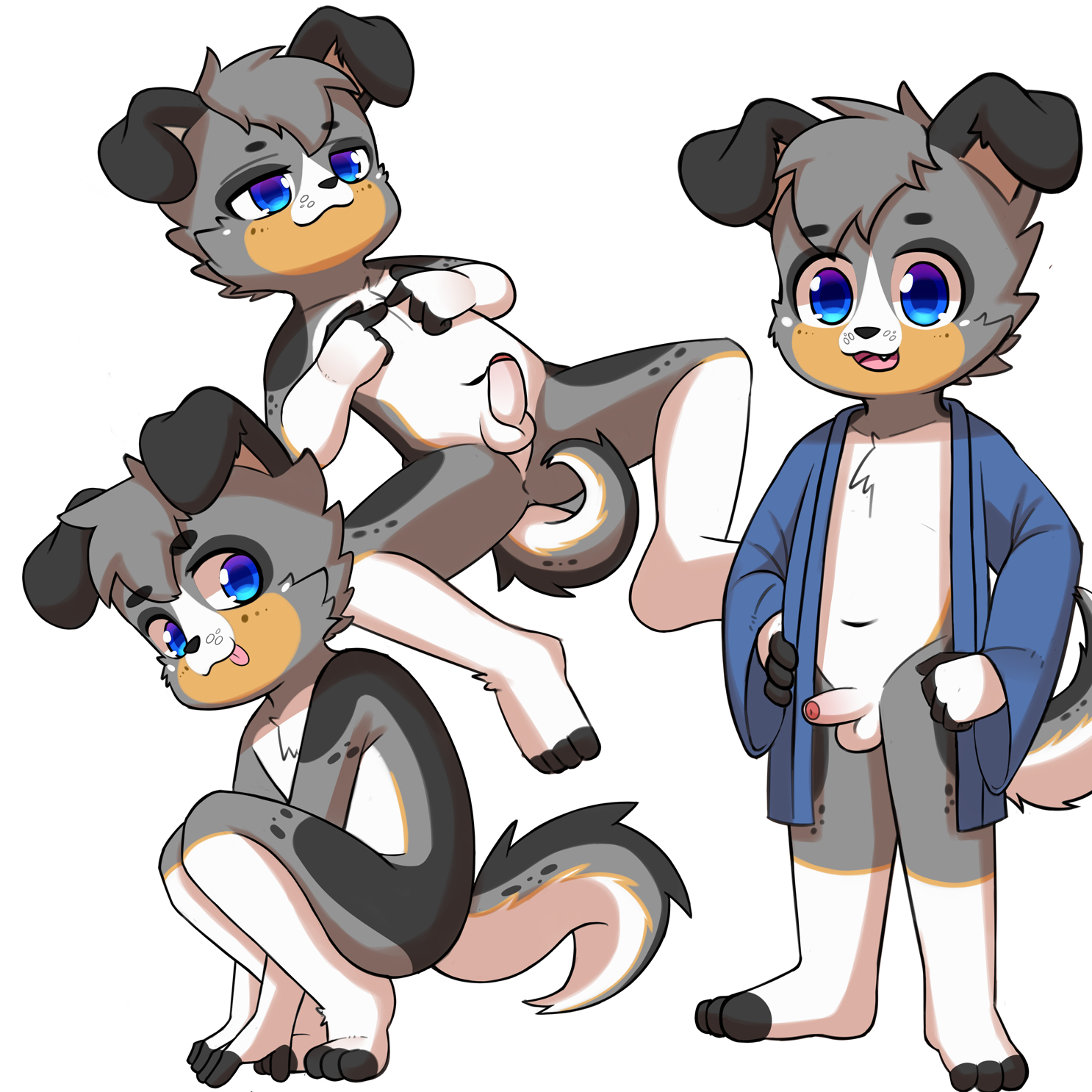 6027815_Choki1003_pro_husky_130.png