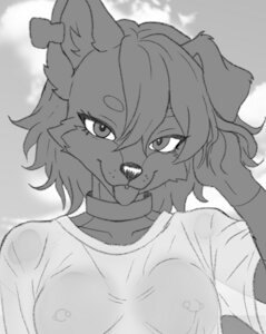 wet T-shirt contest taq