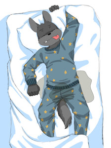 More Sleepover Accidents