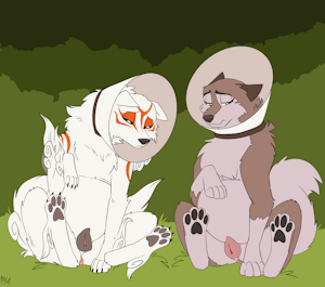 *W*_Cones and cookies