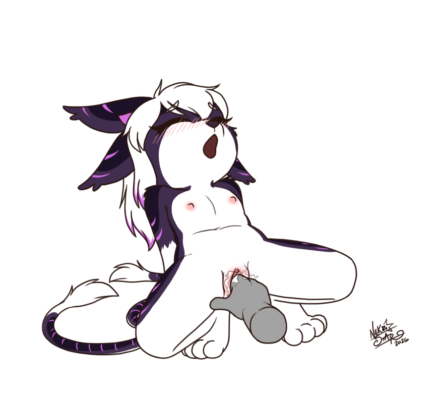6038142_NekoStar_stargazer-3.png