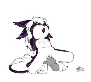 6038142_NekoStar_stargazer-3.png
