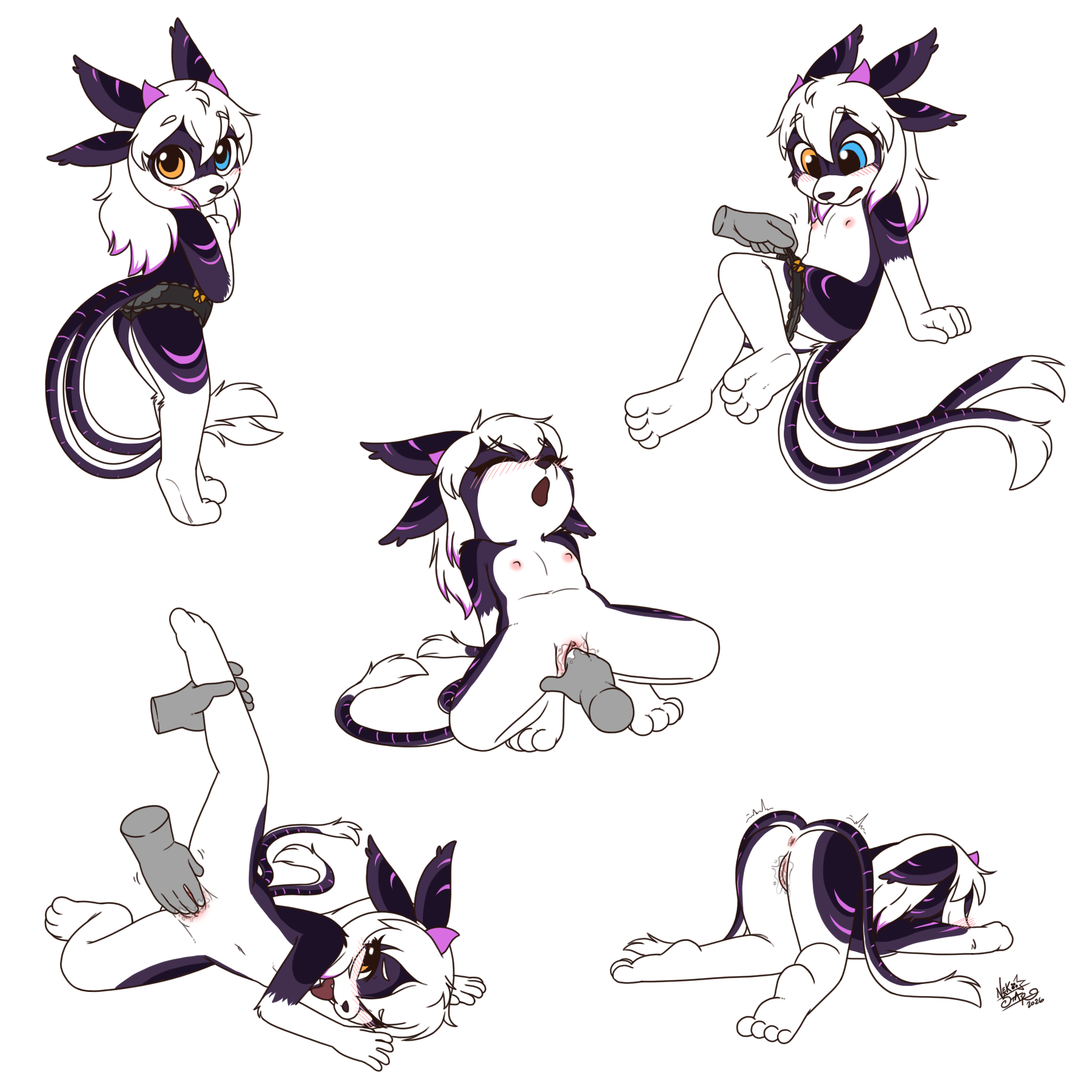 6038145_NekoStar_stargazer.png