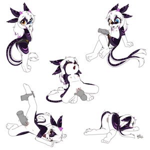 6038145_NekoStar_stargazer.png