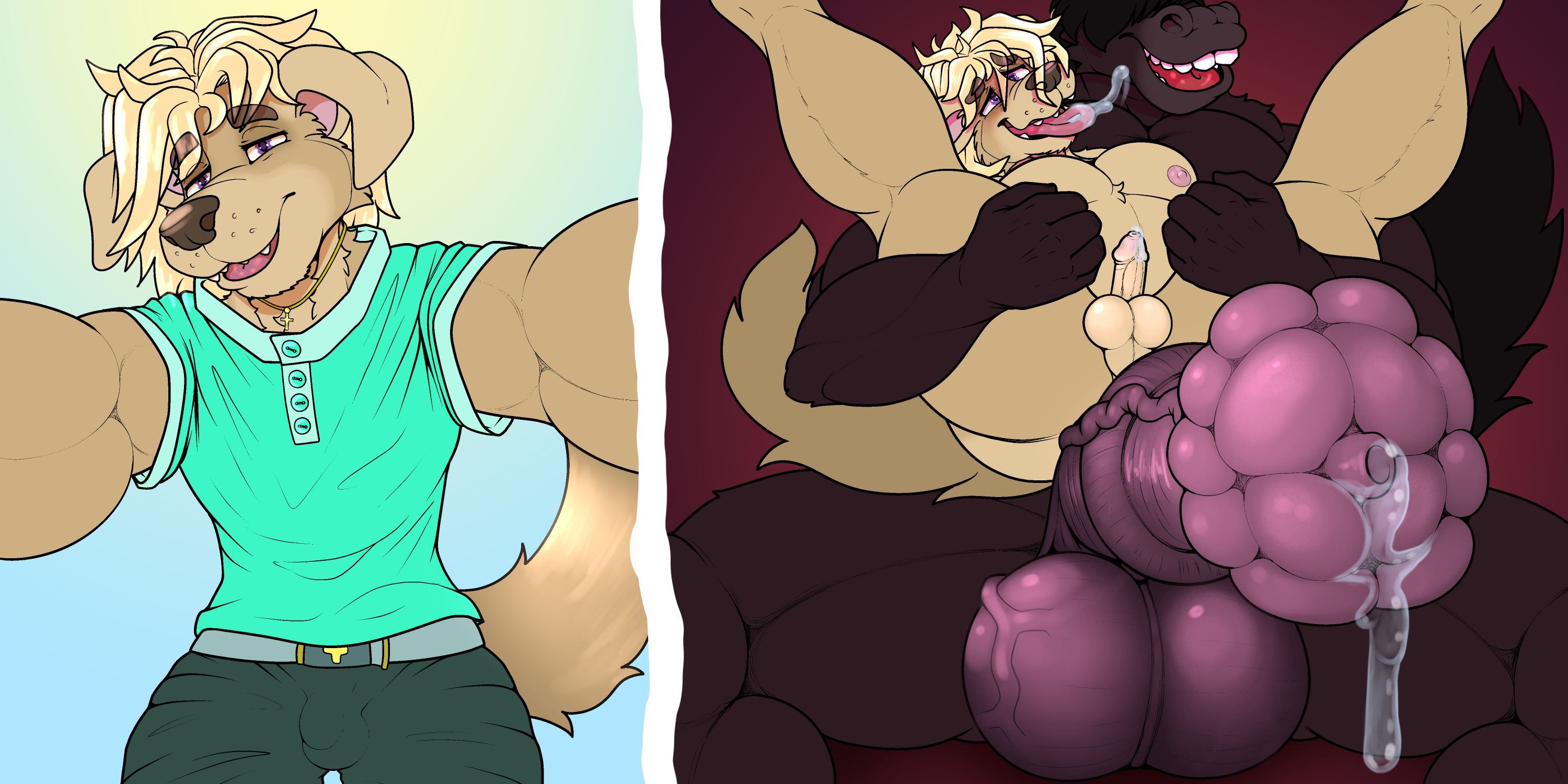 6039063_DasherSlash_before_and_after_nodial.png