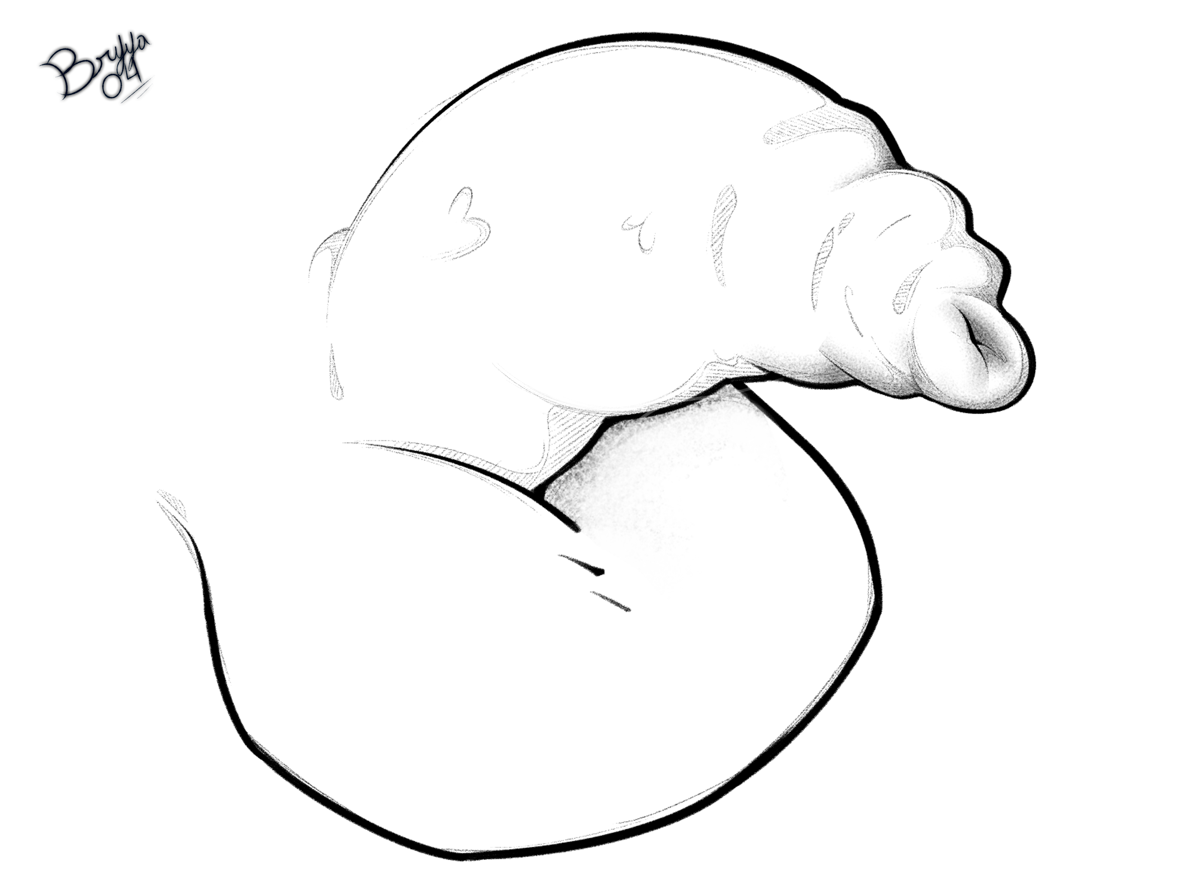 6055956_Bryya04_phimosis_l.png