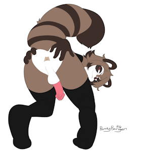 Have Racoon Butthole