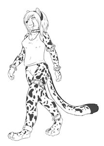Speed Sketch - Kitani