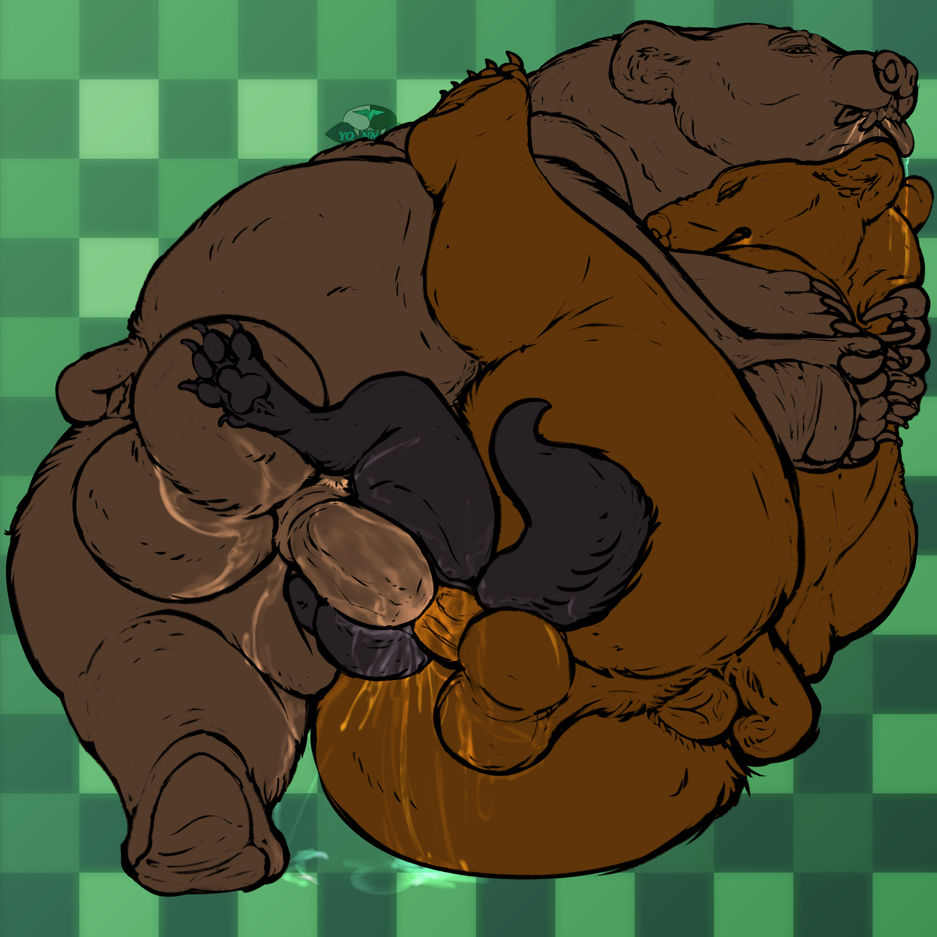 6070315_Kuruk_bear_bear_yote_3.png