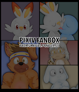 FANBOX: Junio