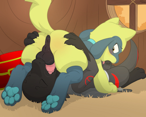 Commission for Anonymus