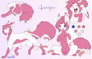 Juniper