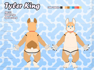 6092403_NaughtyBox_corgiref_.jpg