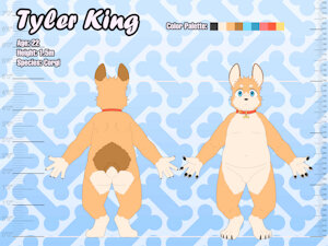 6092404_NaughtyBox_corgiref_0.jpg
