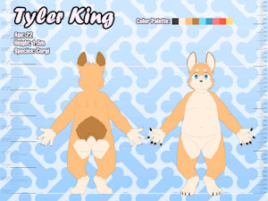 6092405_NaughtyBox_corgiref_1.jpg
