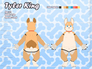 6092408_NaughtyBox_corgiref_3.jpg
