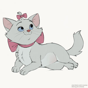 6094332_Comatose_marie_toulouse.jpg