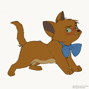 6094333_Comatose_marie_toulouse_2.jpg