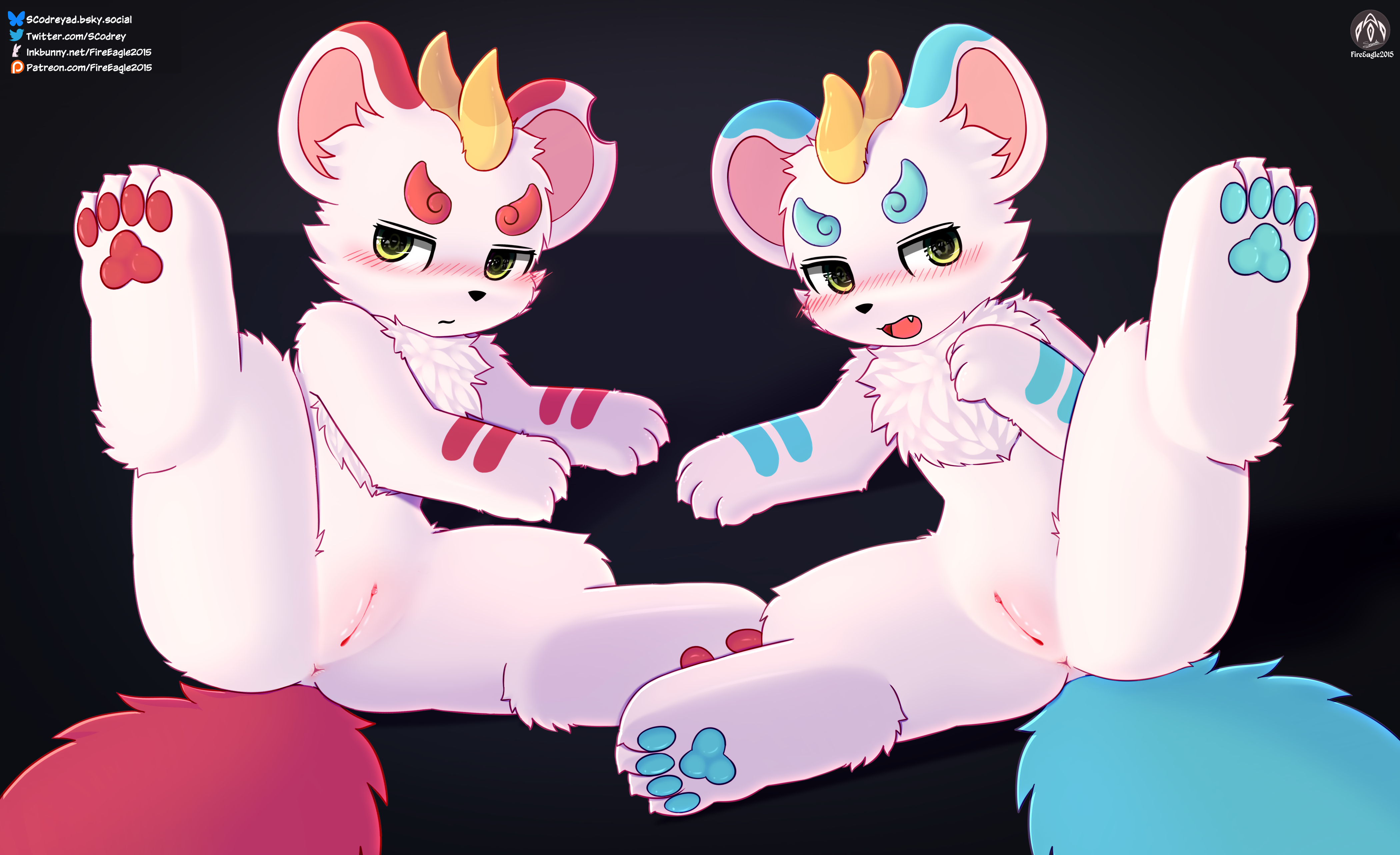 6097979_FireEagle2015_bixie_and_tianlu_4_.png