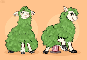 Kiwibank Sheep