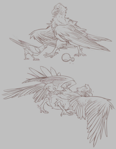 Magpie Vs Vulture