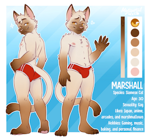 Marshal - Ref. Sheet Commission for NAAAAABE