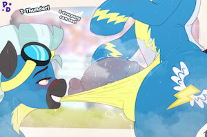 Request - Wonderbolts Show