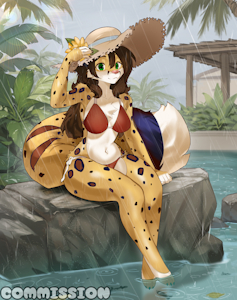 COMMISSION