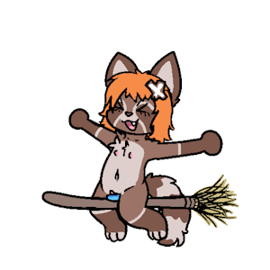 Witch Broom Rides