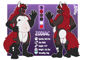 Ref. Sheet Commission for IdiotFox~