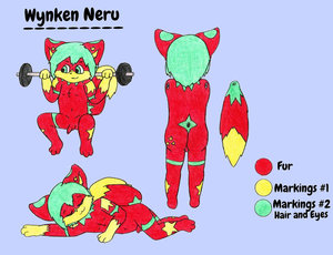Wynken Neru (Reference Sheet)