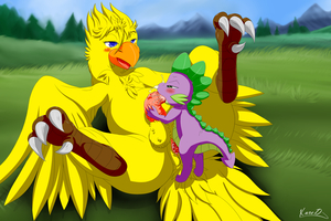Chocobo Herm getting Spiked