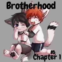 [Story] Brotherhood - Chapter 1