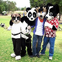 529574_pandapaco_parque__45_.jpg