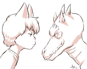 532224_WinterFox_532025_aogami_2a.jpg