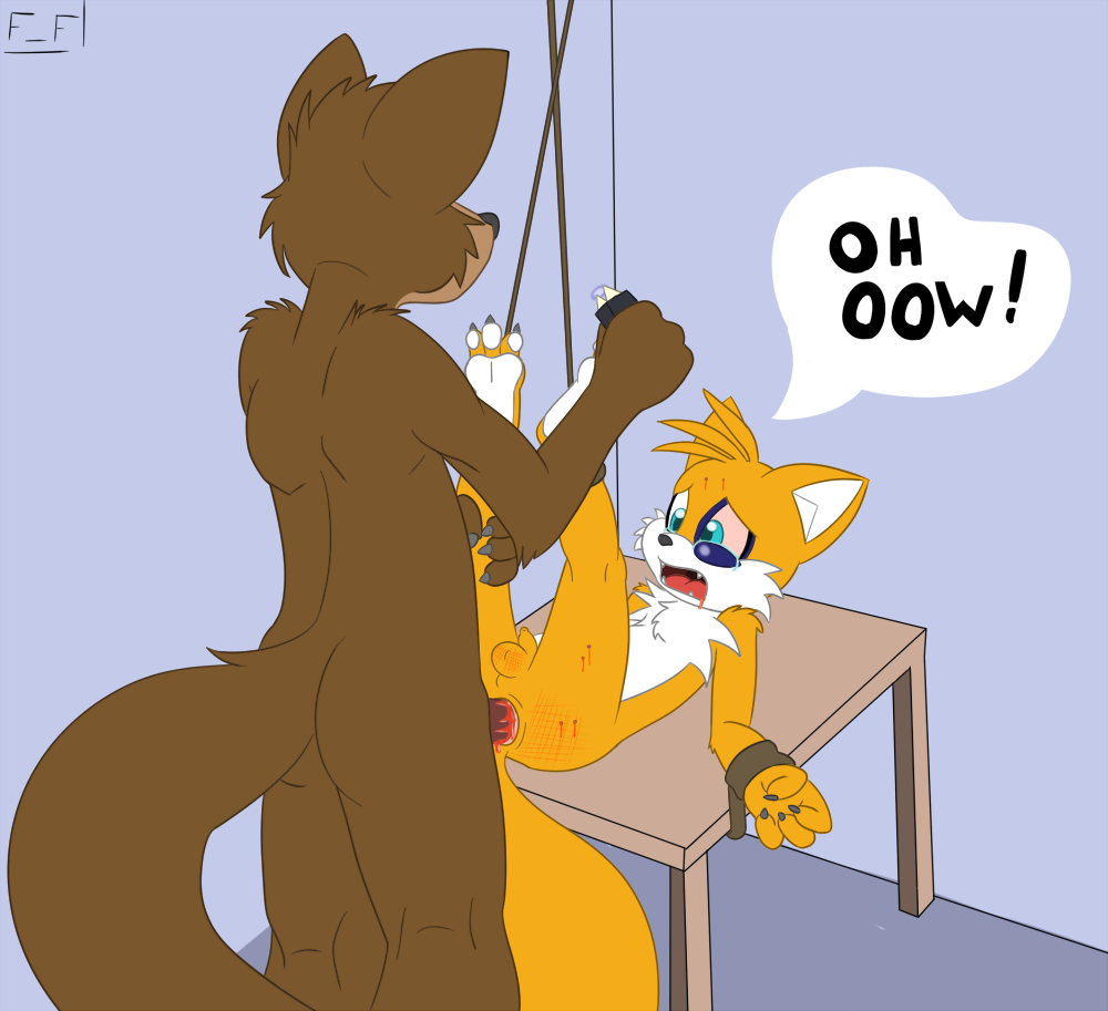 537650_FlyingFox_tailstied.png