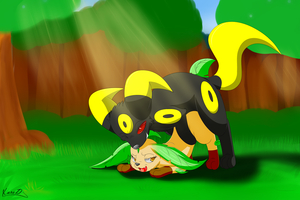 Kuro's Special Friend