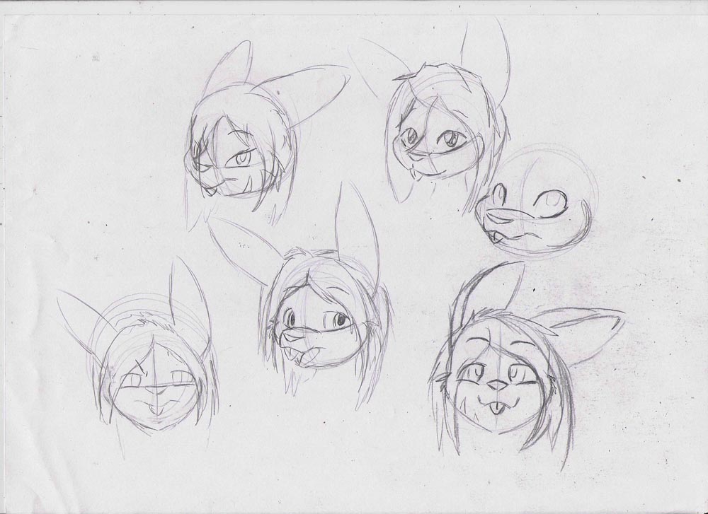 51030_FlyingFox_failsketches.jpg