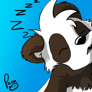 Sleep