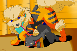 Cat and Dog Fwumping