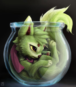 fishbowls (penis)