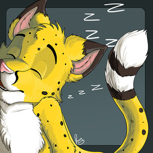 Salmy sleeping