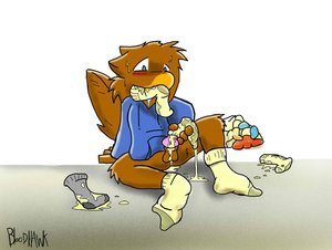 SOCKS!!!