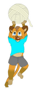 585725_WinterFox_cci07312013.jpg